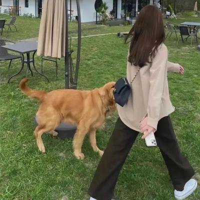 迪士尼之梦
